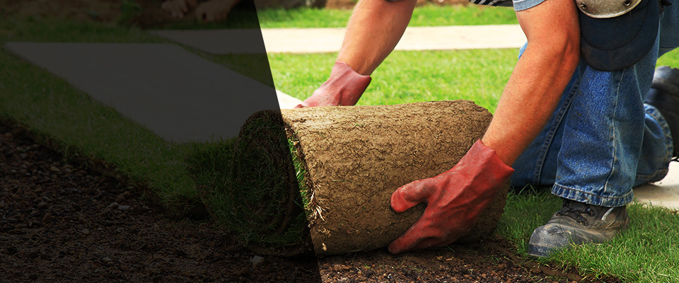 Sebeka Landscapers